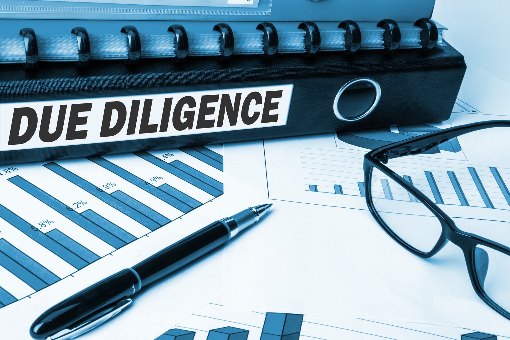 due diligence on document file